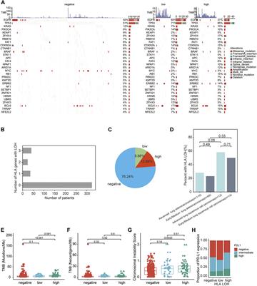 Integrated investigation of the prognostic role of HLA LOH in advanced lung cancer patients with immunotherapy